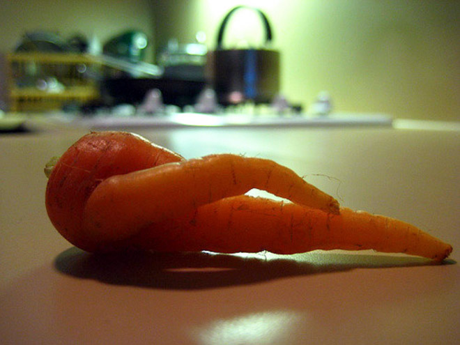 funny carrot15