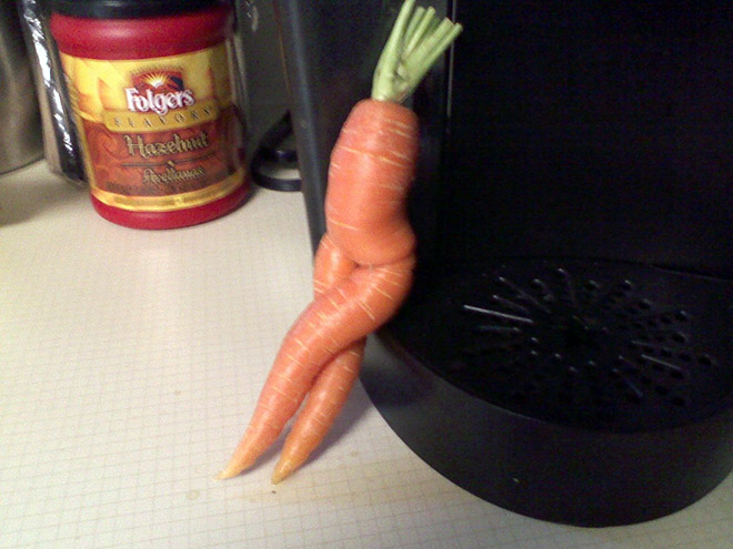 funny carrot2