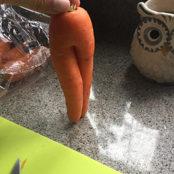 funny carrot20