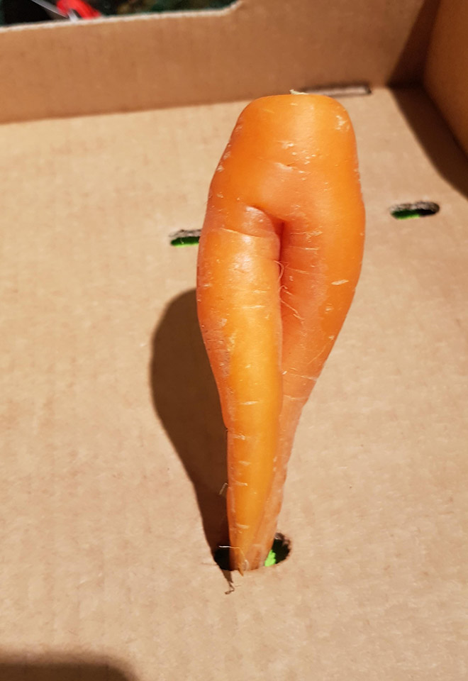 funny carrot4