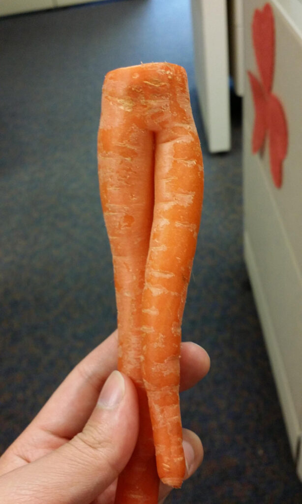 funny carrot5