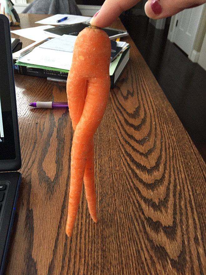 funny carrot6