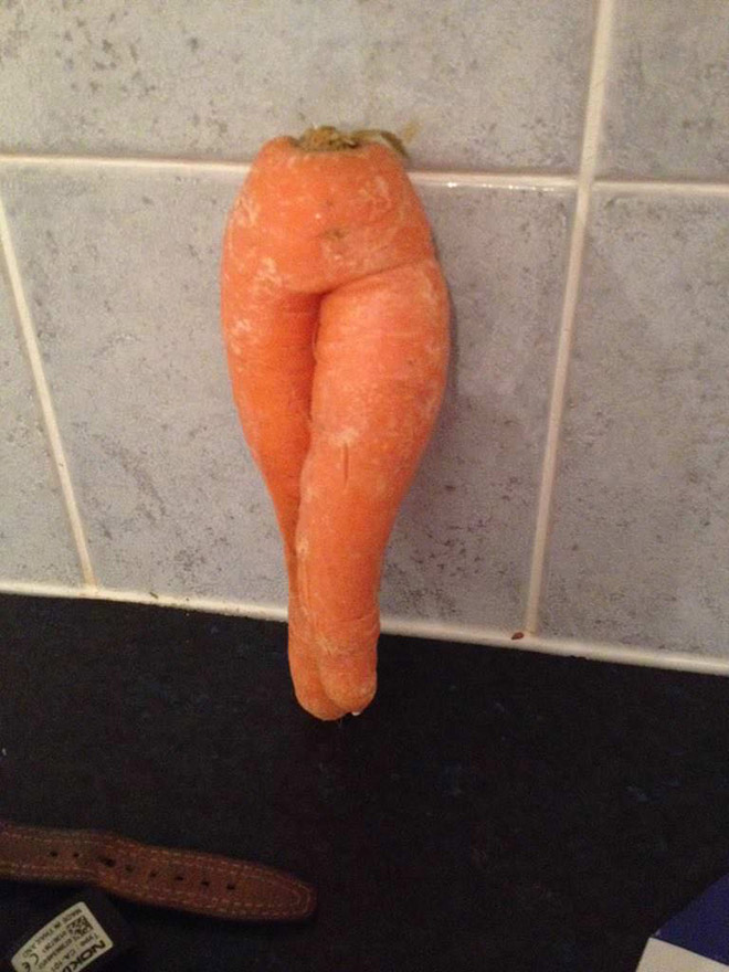 funny carrot7