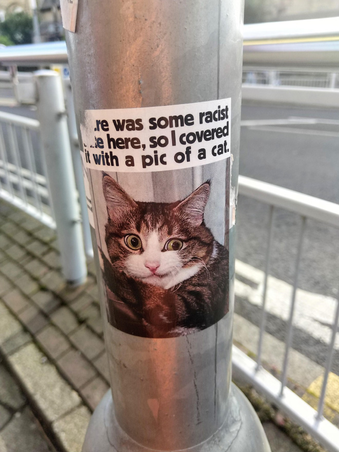 cat stickers5