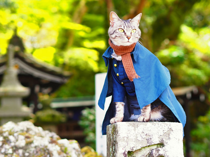 cats anime costumes yagyouneko japan 5f48f7988ffc4 700