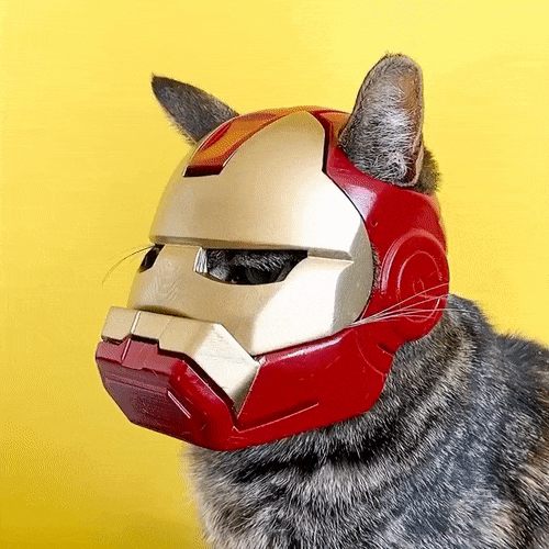 cat helmet10