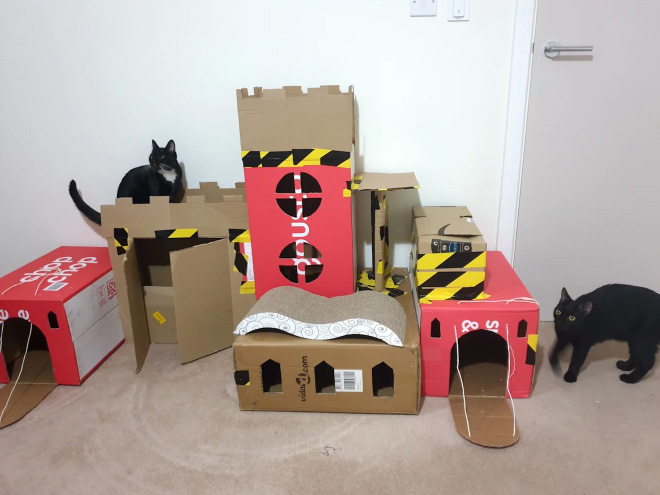 cat forts20