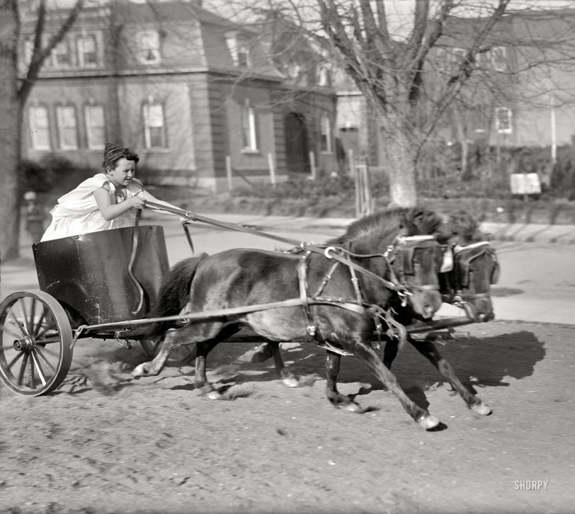 SHORPY 07695a1.preview