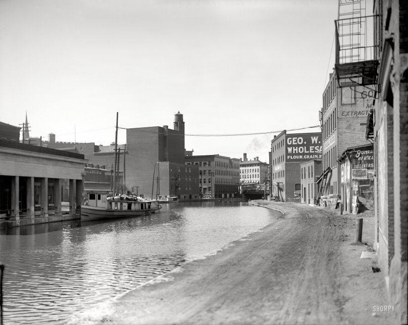 SHORPY 4a19576a.preview