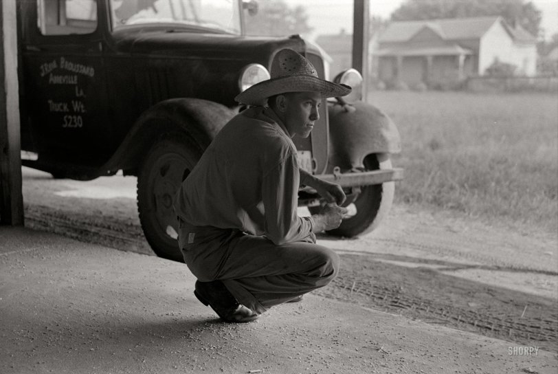 SHORPY 8a23729a.preview