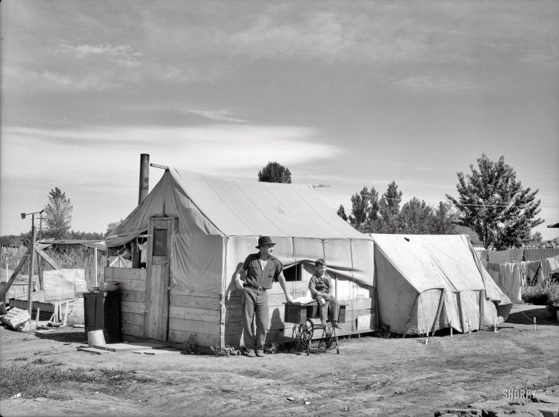 SHORPY 8b27989a.preview