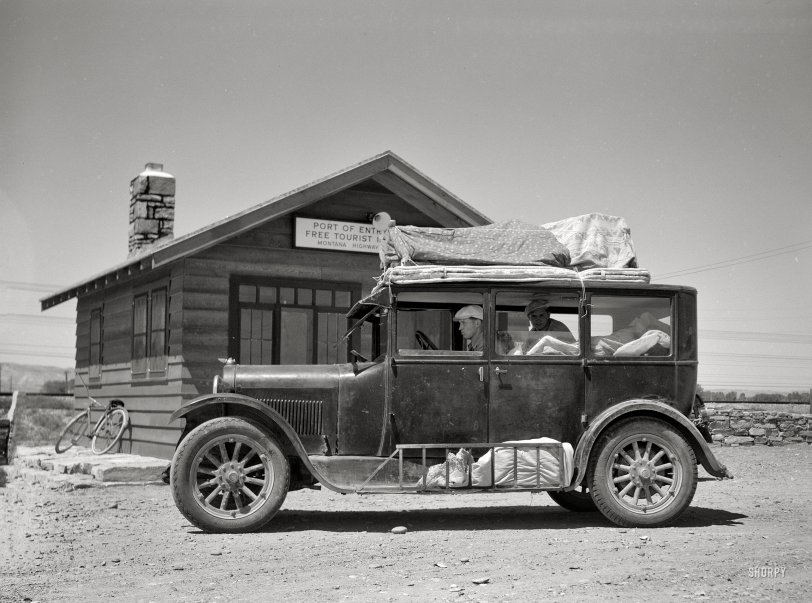 SHORPY 8b28055a.preview