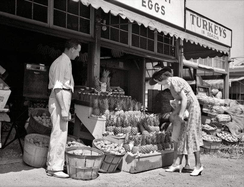 SHORPY 8b29686a.preview