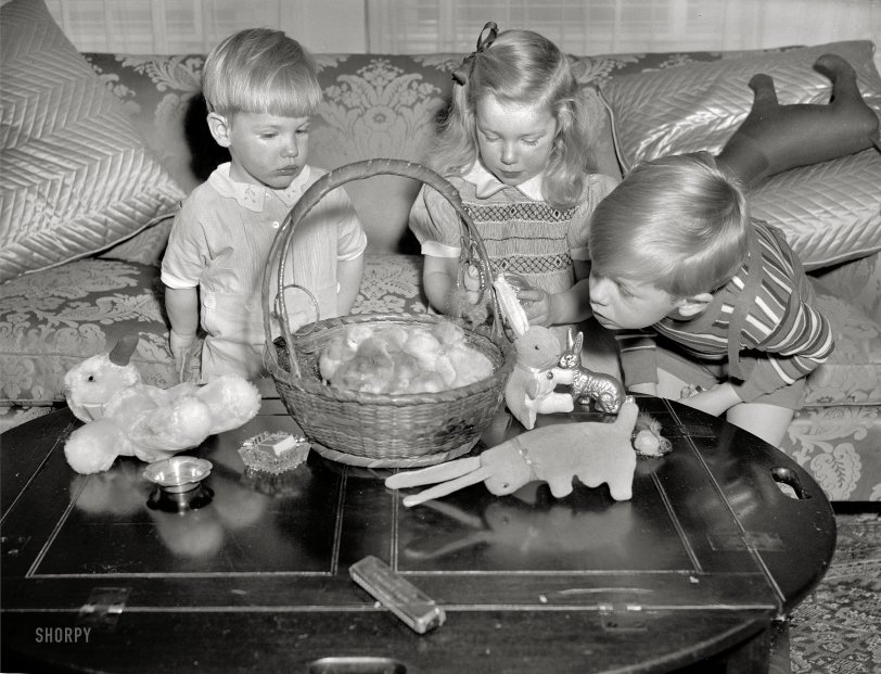 SHORPY 26420a EASTER.preview