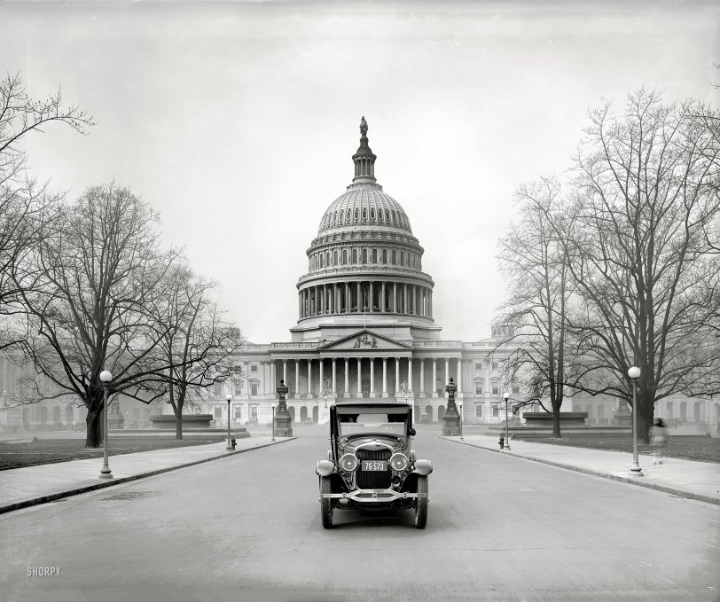 SHORPY 31398u.preview