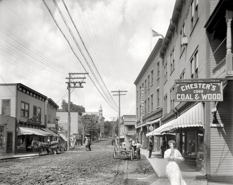 SHORPY 4a18880a.preview