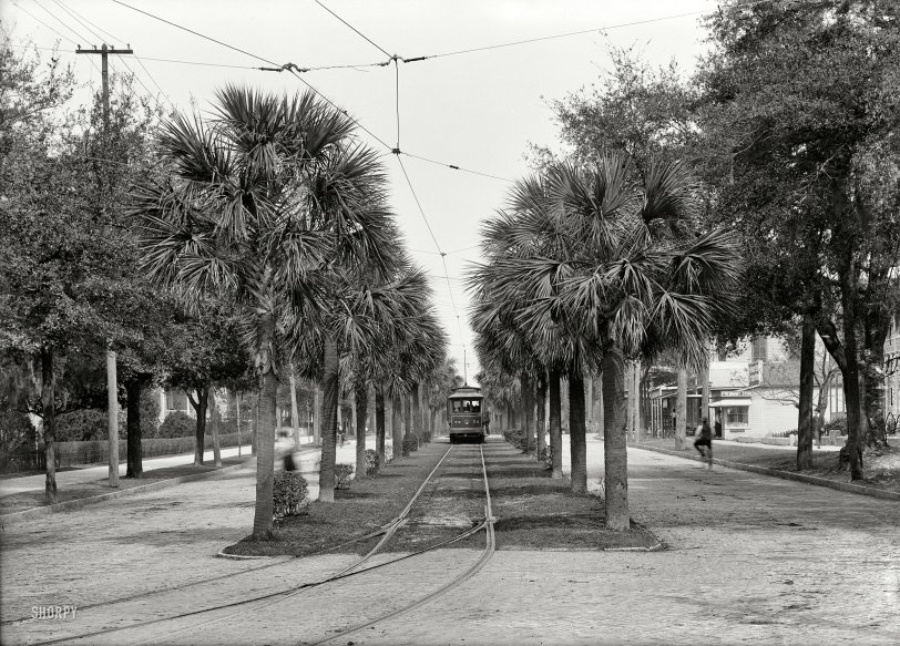 SHORPY 4a27449a.preview