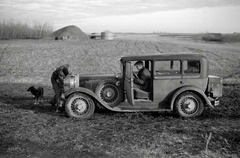 SHORPY 8a32547a.preview