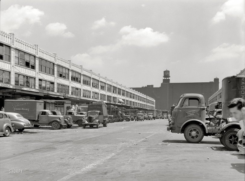 SHORPY 8c19492u.preview