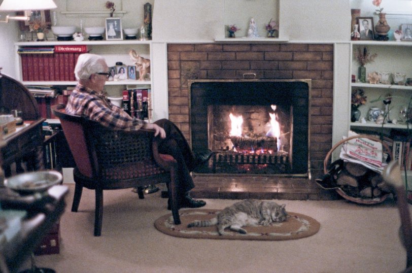 1984yulelog.preview