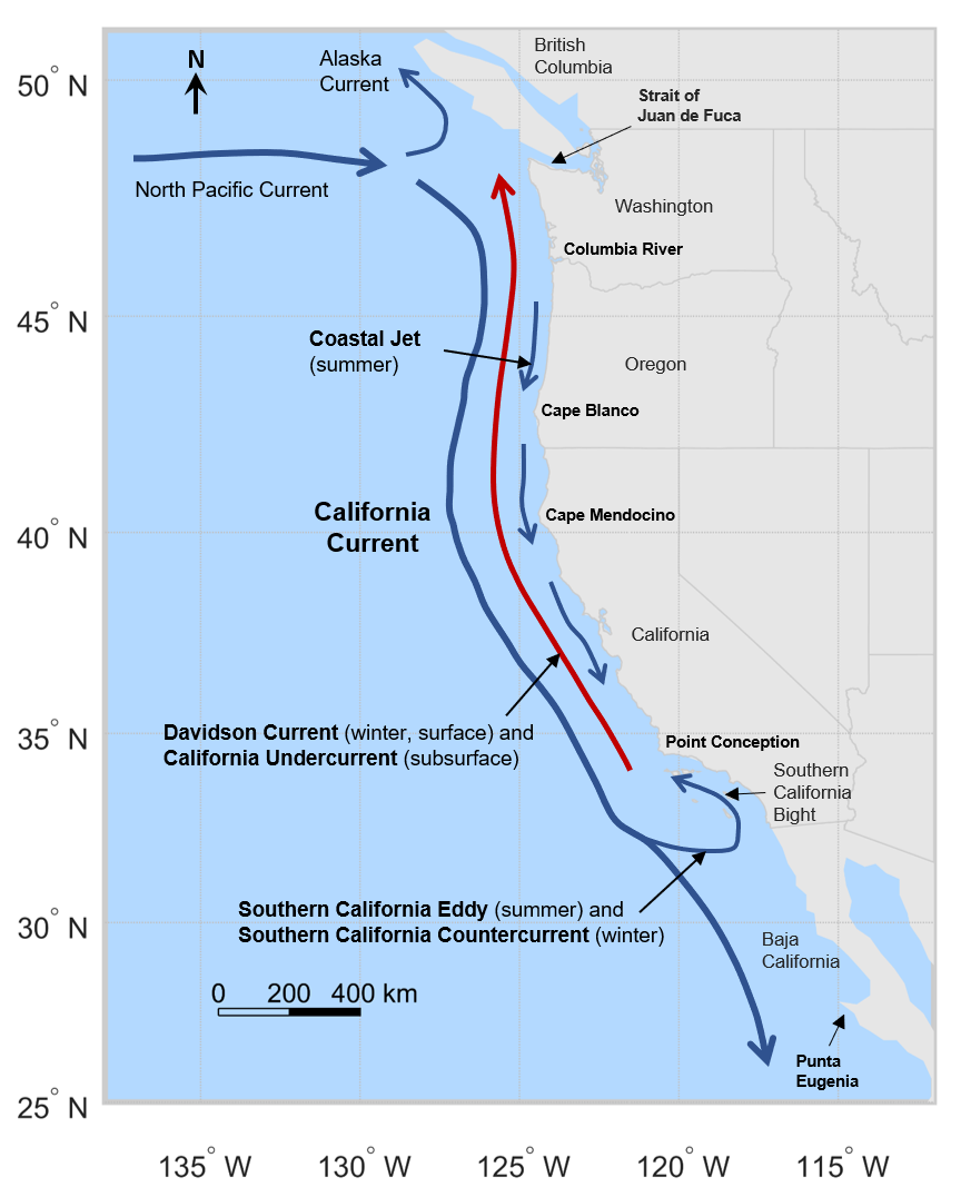 Wiki North Pacific Current