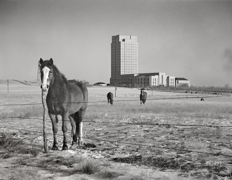 SHORPY 8c21278a.preview