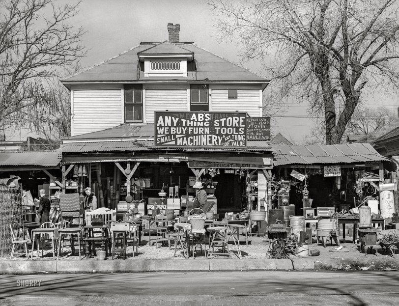 SHORPY 8b23796a.preview