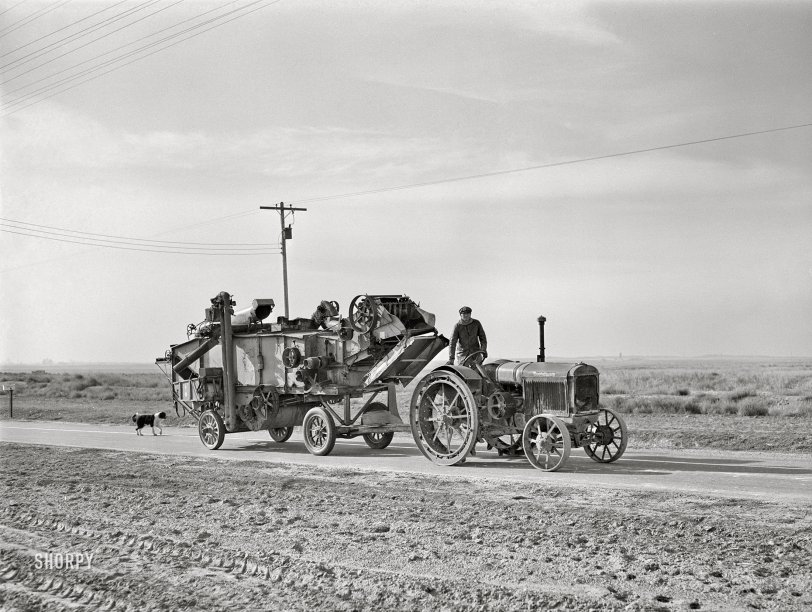 SHORPY 8c23245a.preview