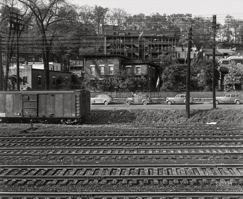 SHORPY 8c25995a.preview