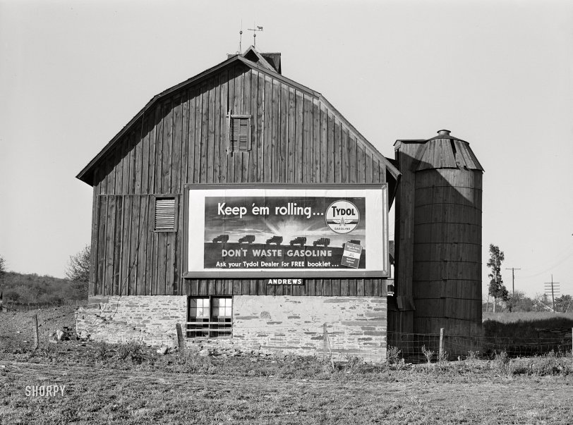 SHORPY 8c26172a.preview