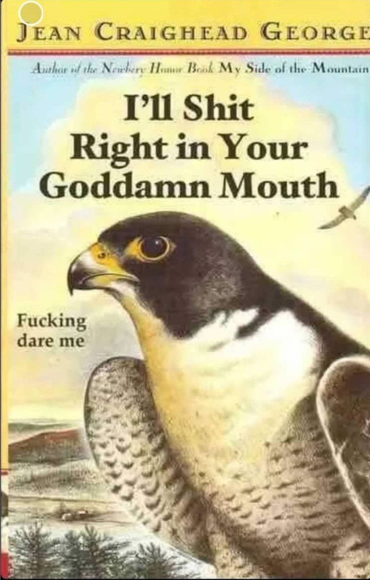 6297419c295d5985321e5e68fdf05d92 6297419c295d5985321e5e68fdf05d92