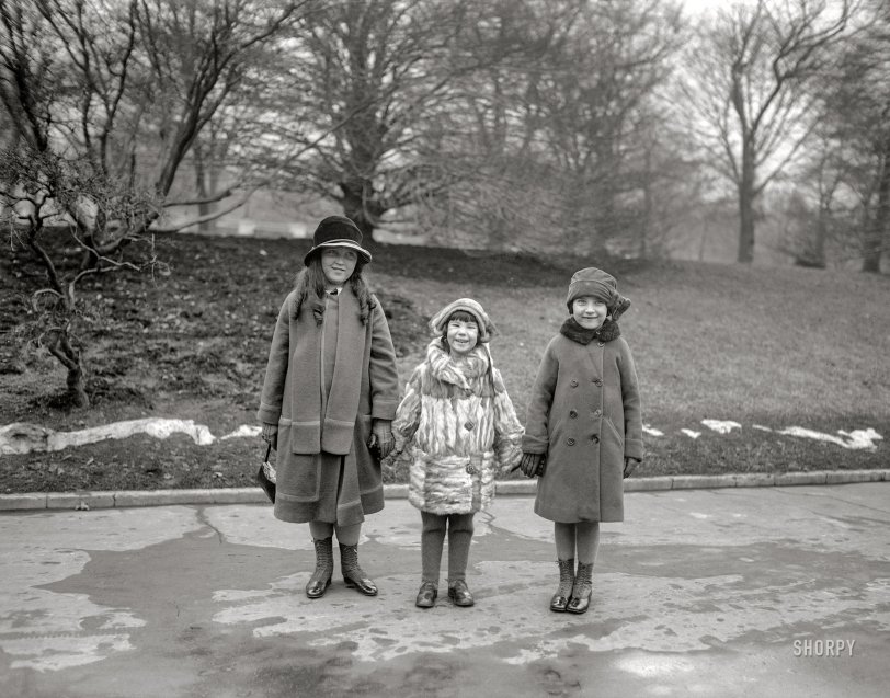 SHORPY 26689u1.preview SHORPY 26689u1.preview
