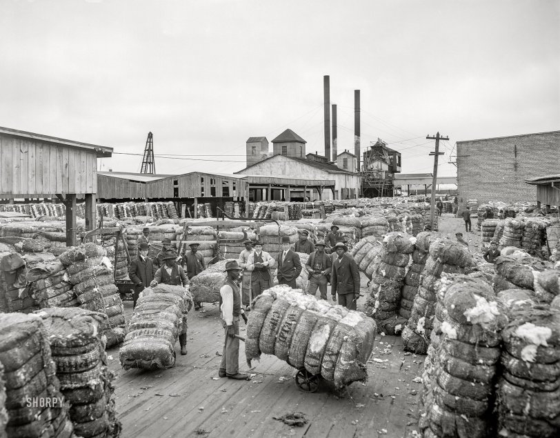 SHORPY 4a12478a.preview SHORPY 4a12478a.preview