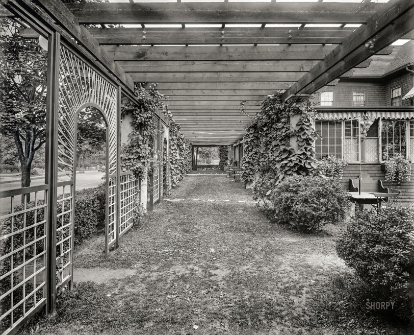 SHORPY 4a23733a.preview SHORPY 4a23733a.preview