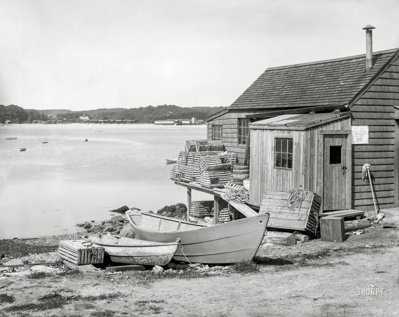 SHORPY 4a23734a.preview SHORPY 4a23734a.preview