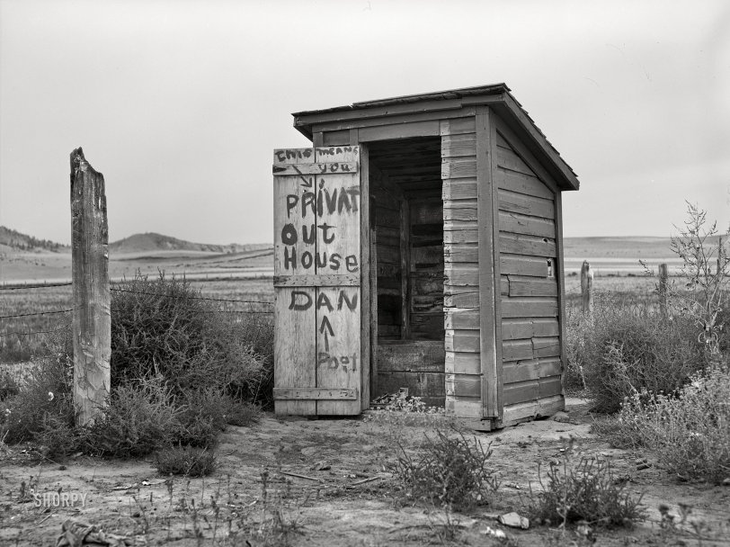 SHORPY 8b19243a.preview SHORPY 8b19243a.preview