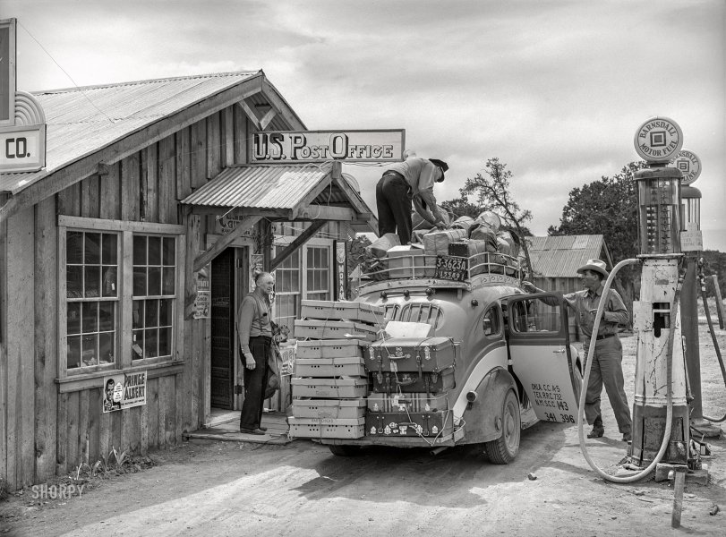 SHORPY 8b25335a.preview SHORPY 8b25335a.preview