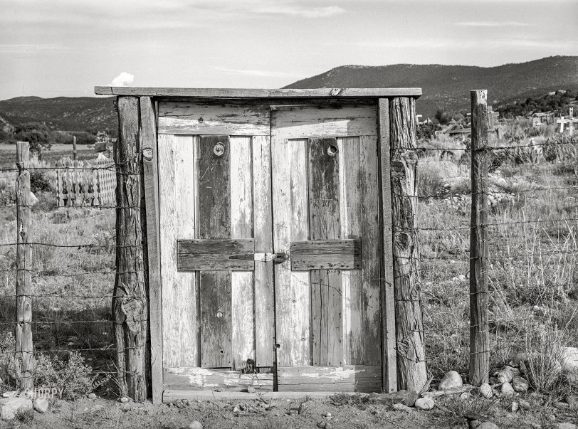 SHORPY 8b25759a.preview SHORPY 8b25759a.preview