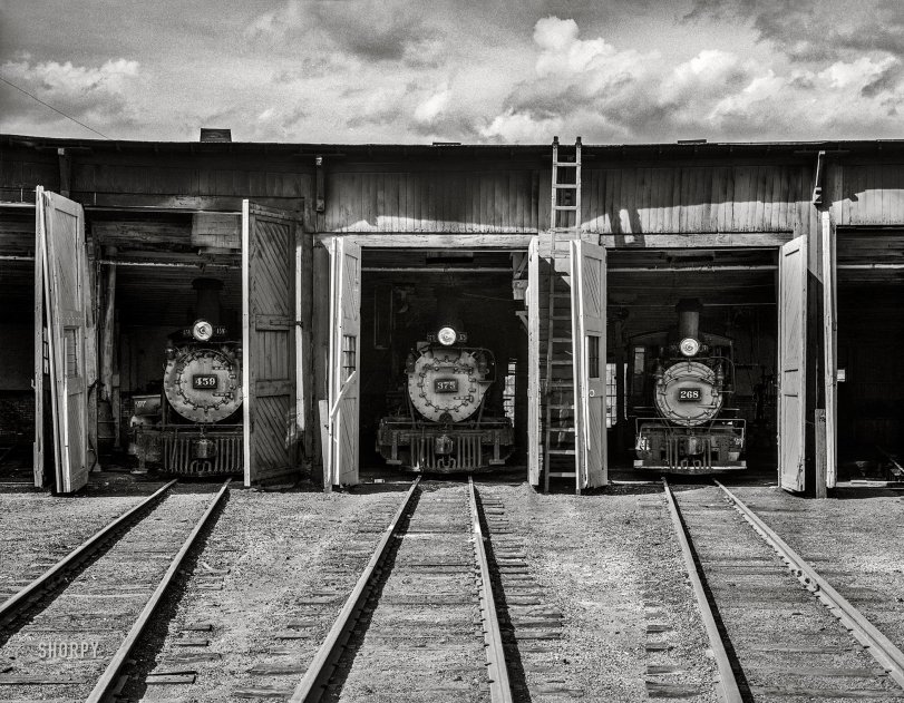 SHORPY 8b26360a1.preview SHORPY 8b26360a1.preview