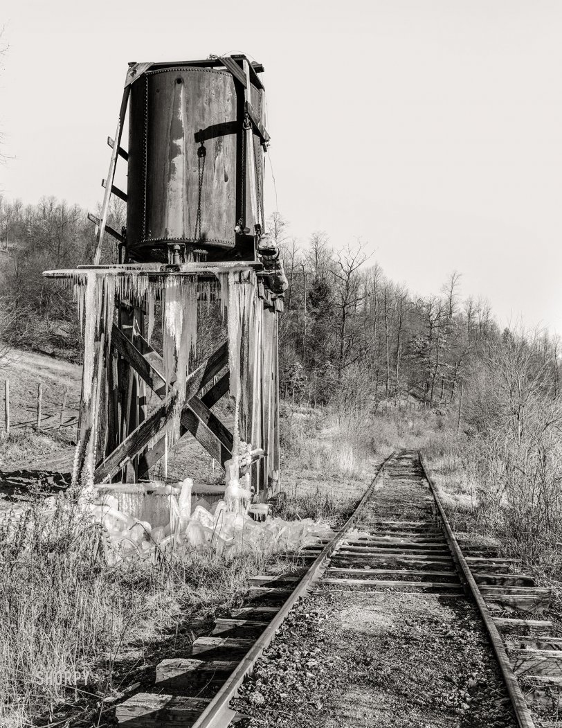 SHORPY 8b37783a.preview SHORPY 8b37783a.preview