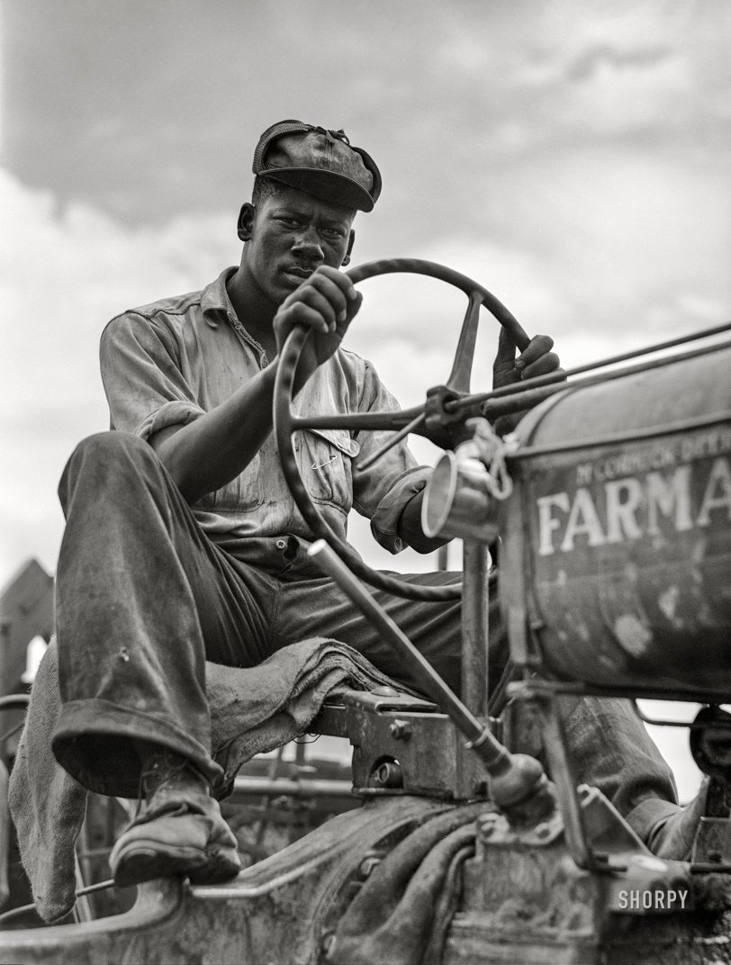 SHORPY 8c12145a.preview SHORPY 8c12145a.preview
