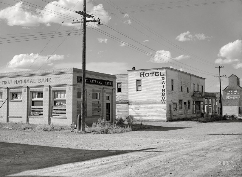SHORPY 8c15638a.preview SHORPY 8c15638a.preview