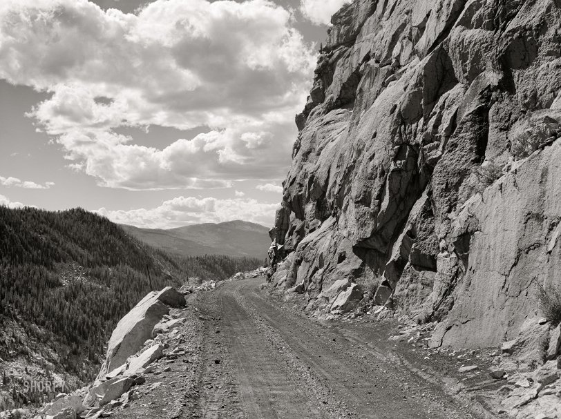 SHORPY 8c15987a.preview SHORPY 8c15987a.preview
