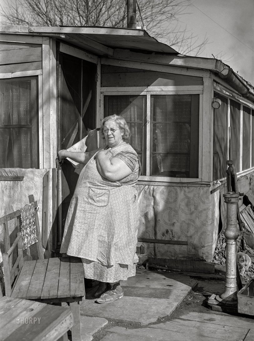 SHORPY 8c16968a.preview SHORPY 8c16968a.preview