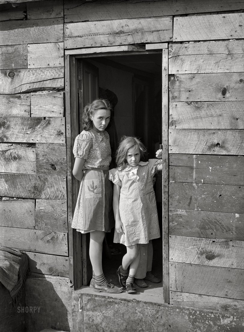 SHORPY 8c17075a.preview SHORPY 8c17075a.preview