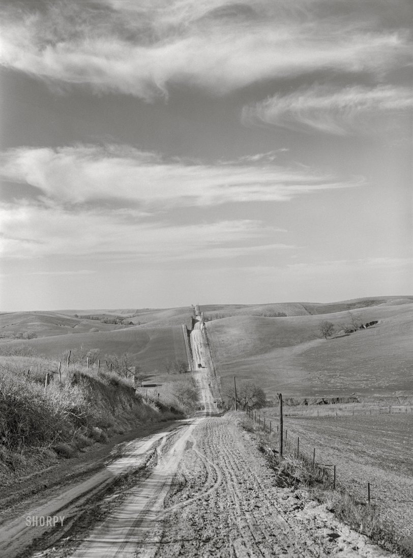 SHORPY 8c17323a.preview SHORPY 8c17323a.preview