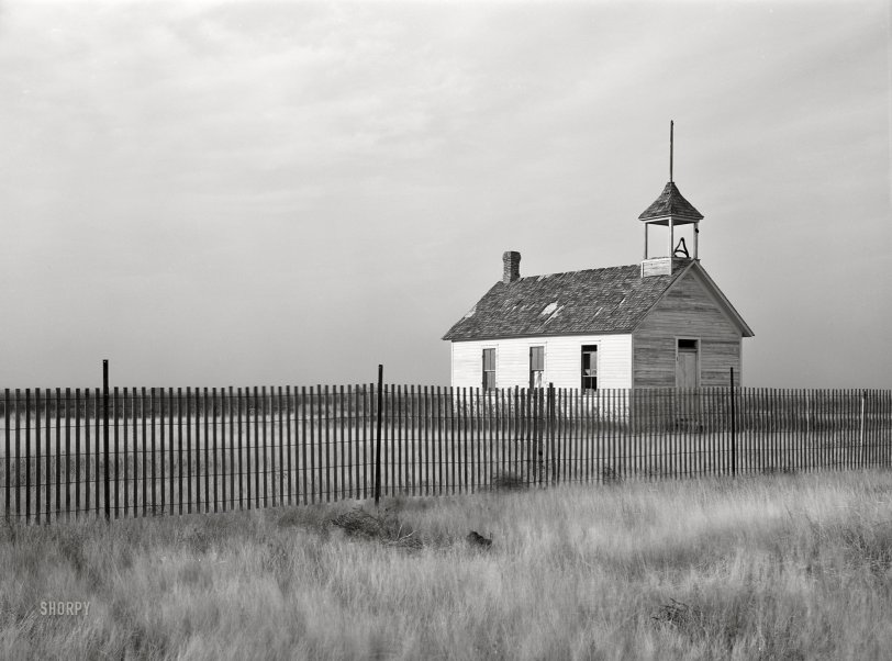 SHORPY 8c18028a.preview SHORPY 8c18028a.preview