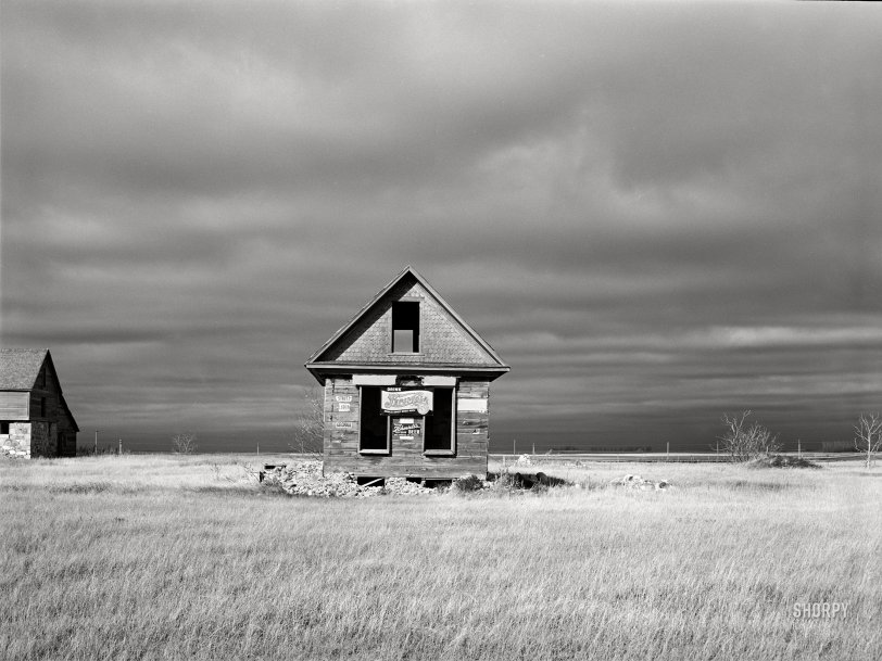 SHORPY 8c18074a.preview SHORPY 8c18074a.preview