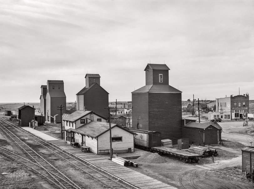 SHORPY 8c18139a.preview SHORPY 8c18139a.preview