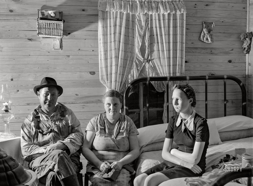 SHORPY 8c18333a.preview SHORPY 8c18333a.preview